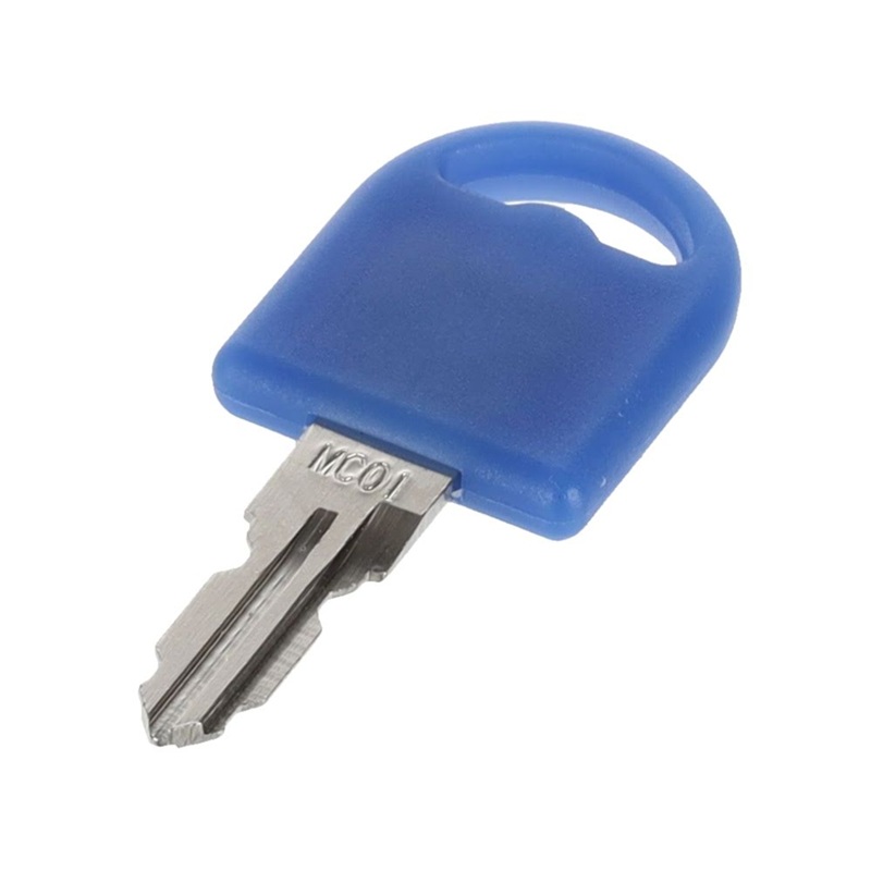 Cheie principala Riex EP10 pentru grupa M1