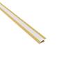 PROFIL LED INLINE MINI XL CU MASCA AURIU 2M